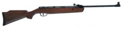 xs19 air rifle